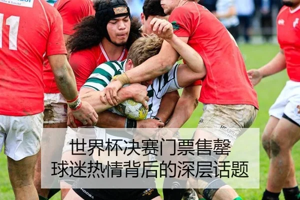 世界杯决赛门票售罄 球迷热情背后的深层话题